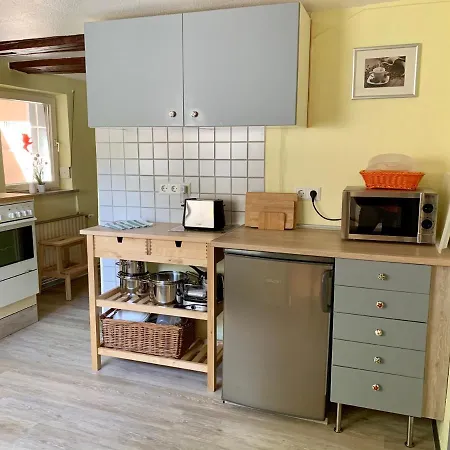 Pusteblume Wildemann