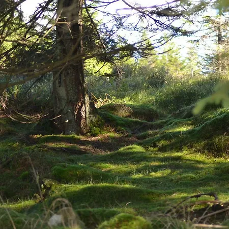 Apartamento Pusteblume *