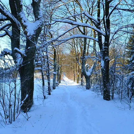 Apartamento Pusteblume *