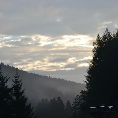 Apartamento Pusteblume Wildemann