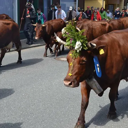 Pusteblume Apartamento *