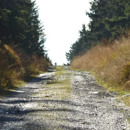 Apartamento Pusteblume *