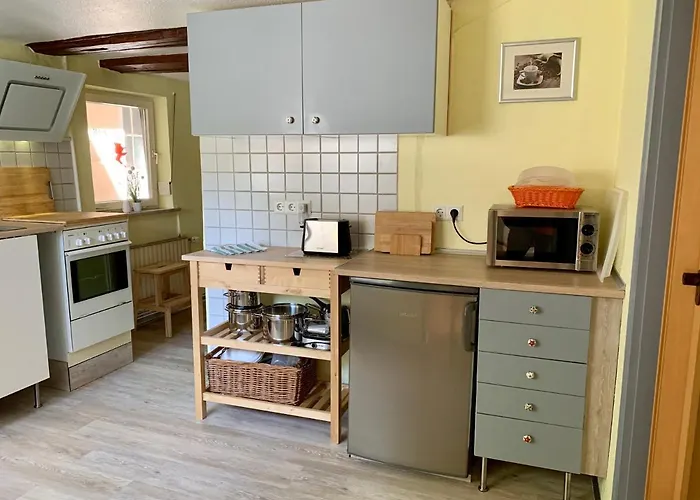 Pusteblume Wildemann