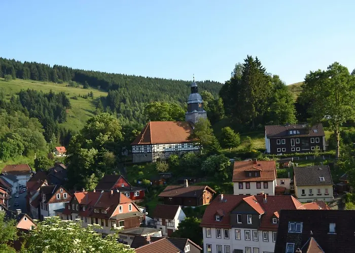 Pusteblume Wildemann