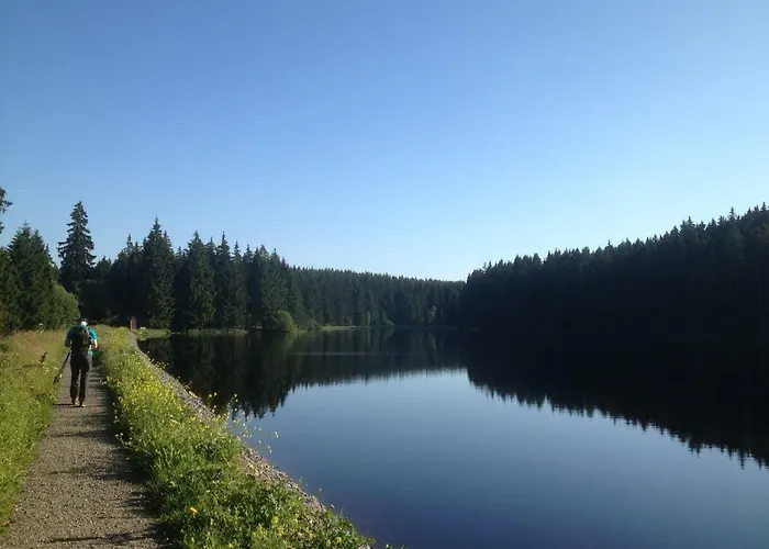 Pusteblume Wildemann