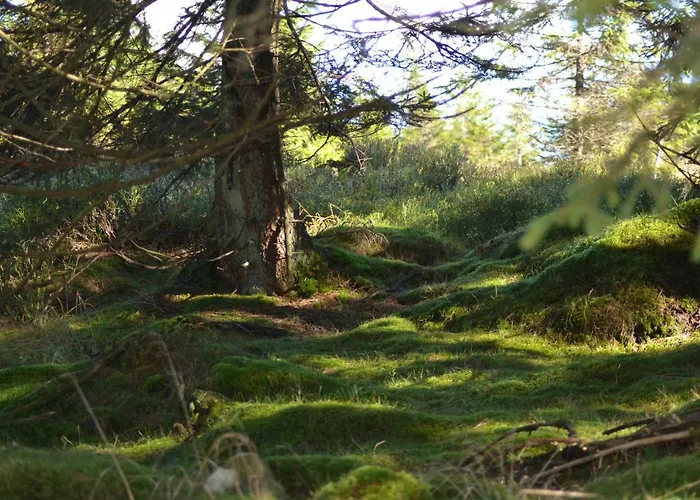 Διαμέρισμα Pusteblume *