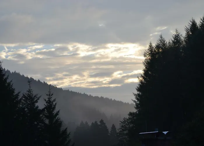 Διαμέρισμα Pusteblume Wildemann