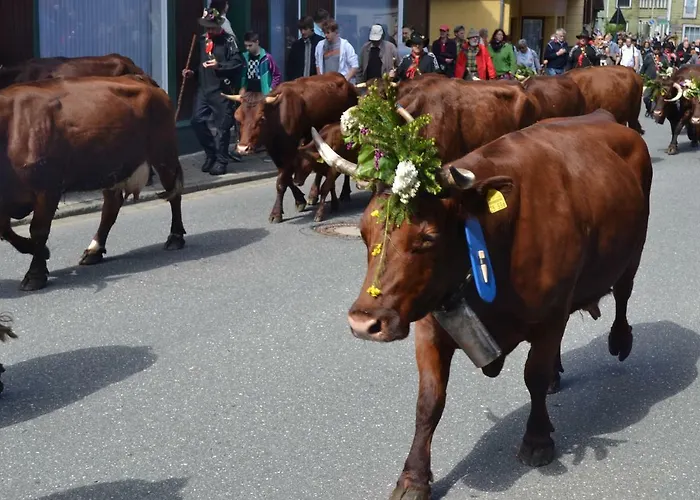 Pusteblume Διαμέρισμα *