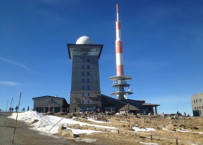 Pusteblume Wildemann